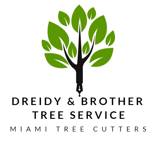 Tree & Palm Trimming Cut Removal Service Specialist